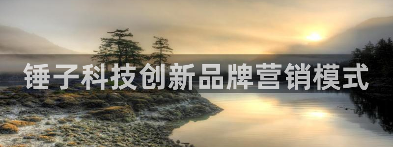 金年会官方网站首页入口下载