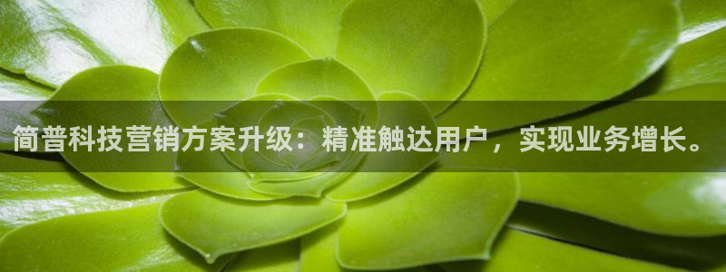 金年会网站下载