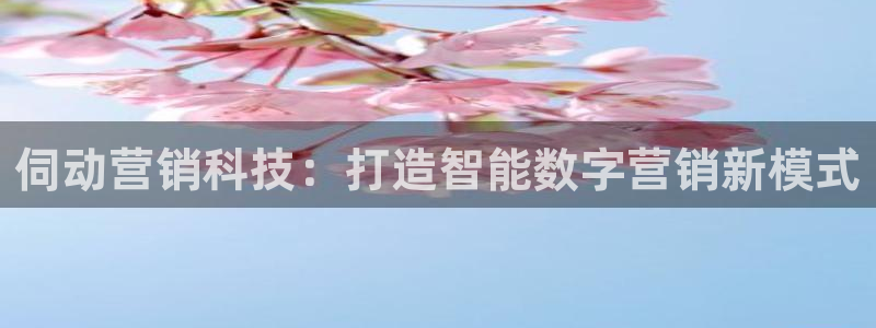 金年会体育app是干嘛的