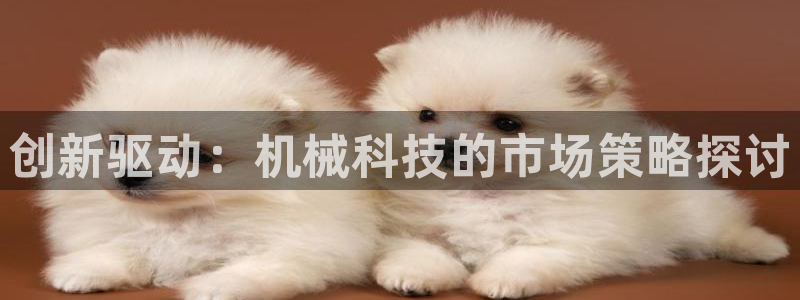 金年会赌博官网