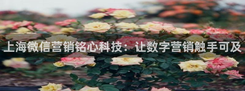 金年会网址有吗