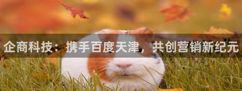 金年会官方在线入口网址查询