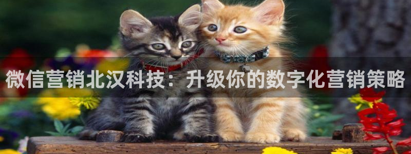 金年会官方在线入口网址是多少