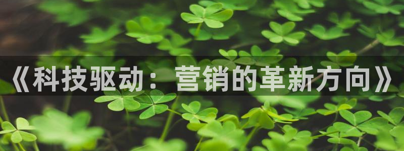 金年会是什么平台