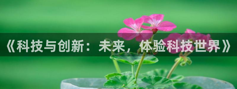 金年会com