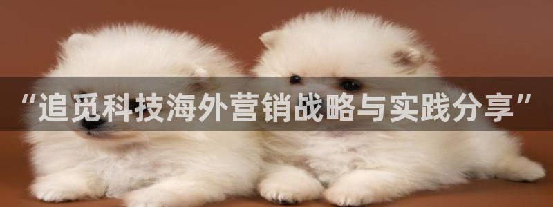 金年会jinnianhuicom