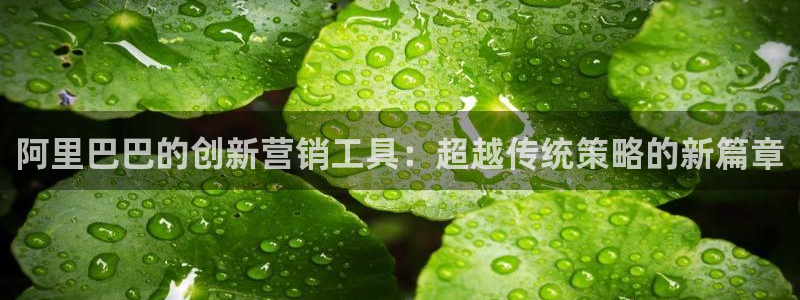 金年会体育开户