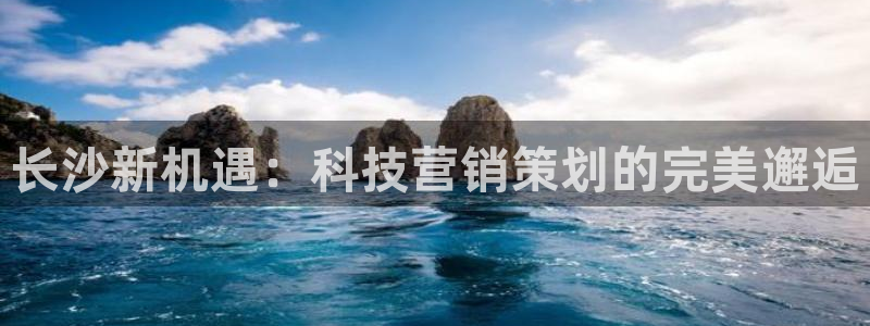 金年会体育app官网下载