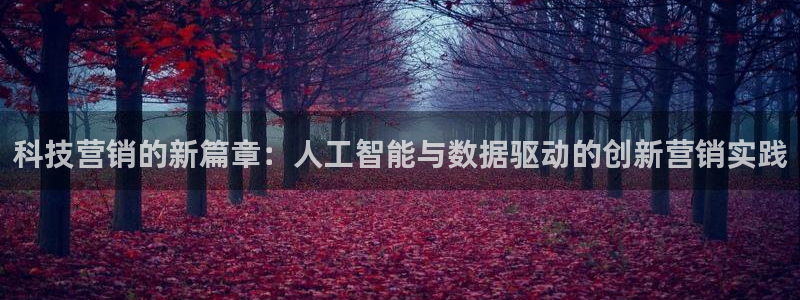 金年会体育app官网下载