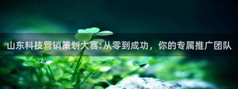 金年会官方入口首页网