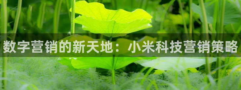 金年会是正规平台吗