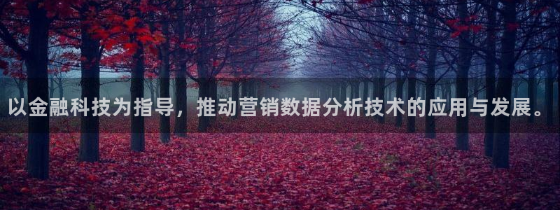 金年会体育官网入口