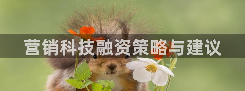 金年会诚信至上金字招牌