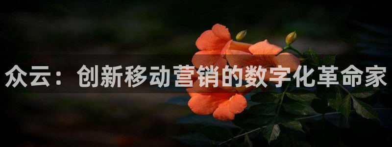 金年会vip888：