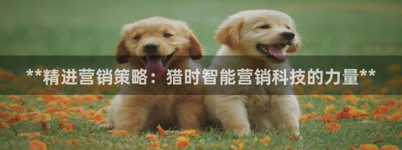 金年会金字招牌诚信经营