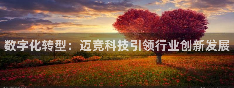 金年会体育app网页版官方入口