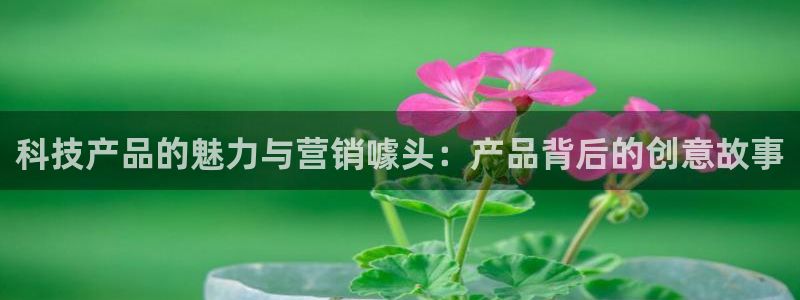 金年会官方在线播放