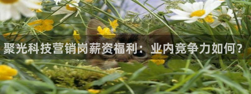 金年会官方网站入口登录