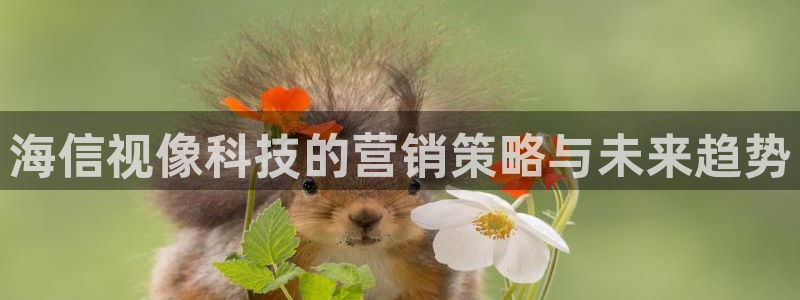 金年会官方在线登录网址是多少号