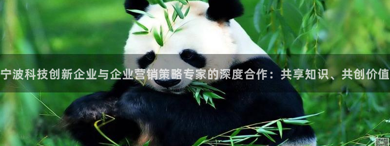 金年会体育app下载官网苹果手机