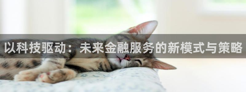 金年会官方在线入口网址