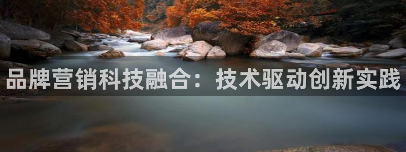 金年会体育论坛