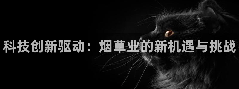 金年会官方登录入口手机版app