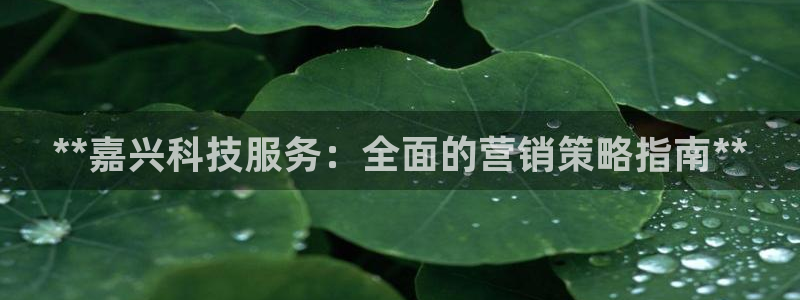 金年会金字招牌下载