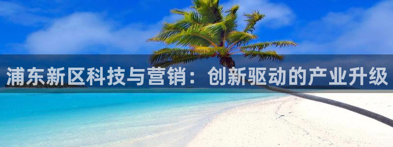 金年会app平台有人玩过吗安全吗