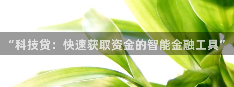 金年会官方网站登录网址是多少