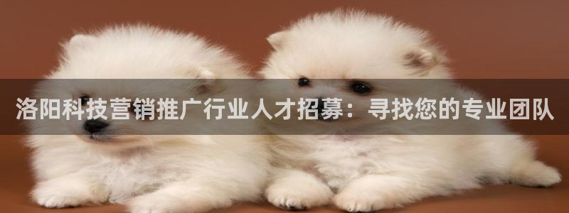 金年会app官方网站下载