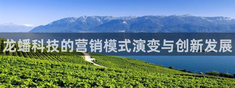 金年会体育中国官方网站