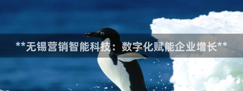 金年会赌博官网