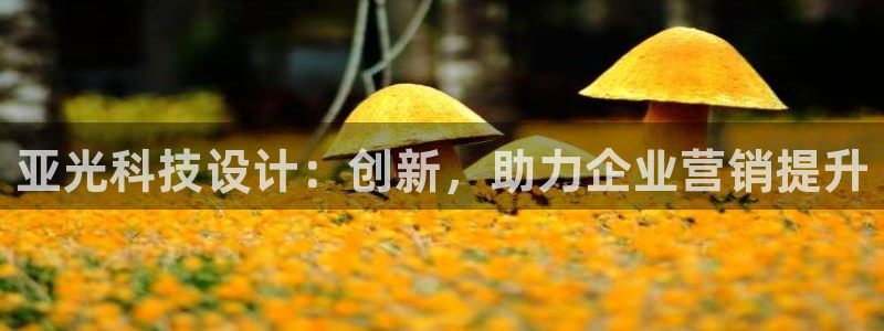 金年会官方在线播放