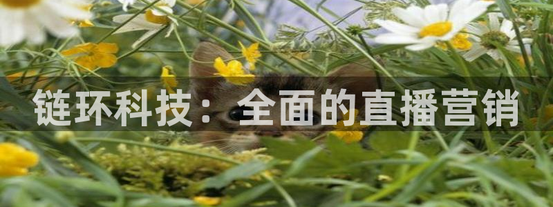 金年会手机版本网页登录