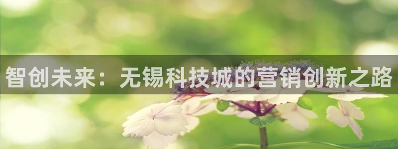 金年会体育合法吗