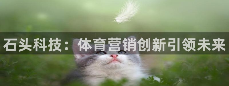 金年会体育是诈骗