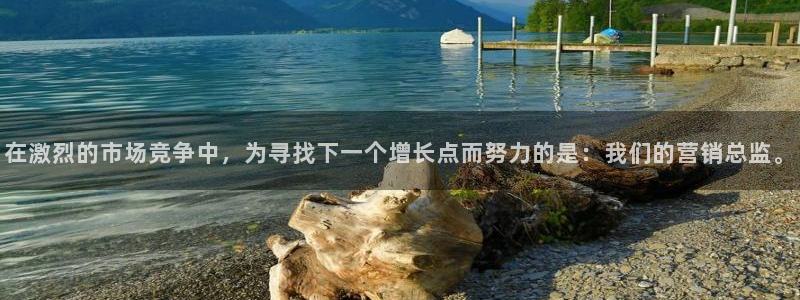 金年会官方登录入口网址是什么