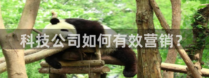 金年会官方在线入口网站