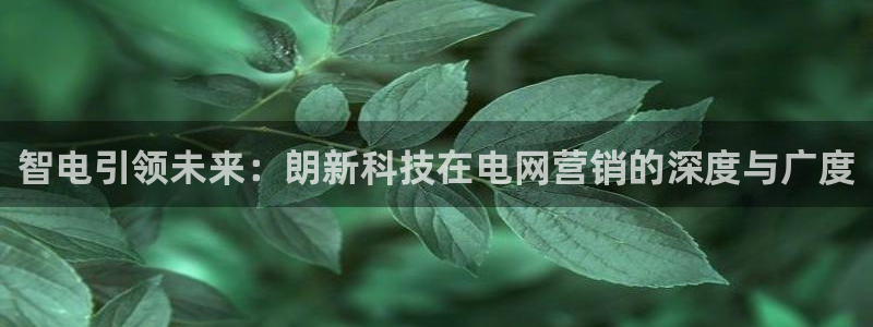 金年会app官网登录
