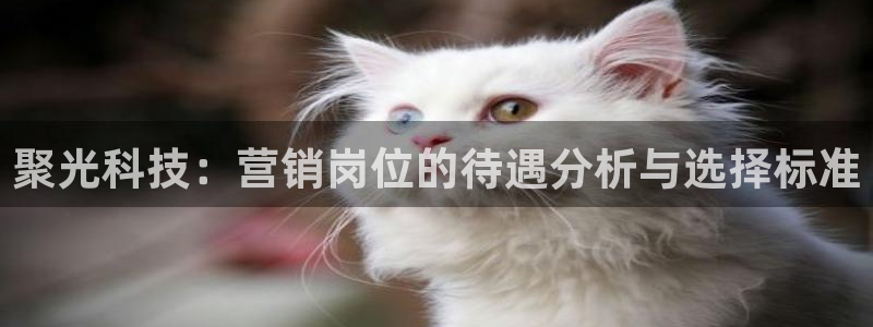 金年会官方入口app