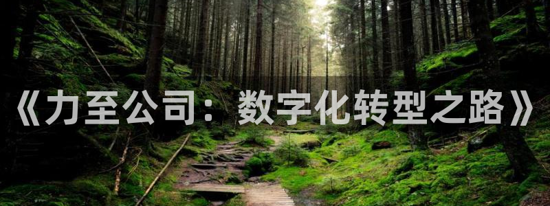 金年会网站入口