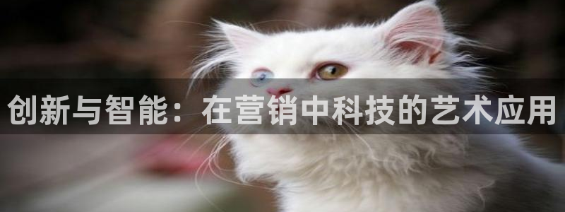 金年会电子游戏：创新