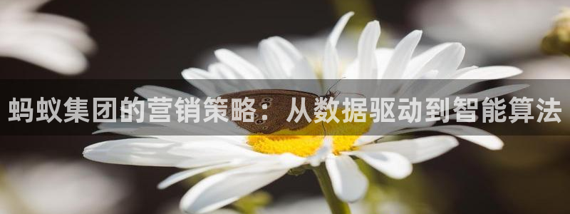金年会官方在线登录网址是什么呢
