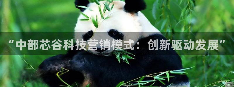 金年会手机版下载