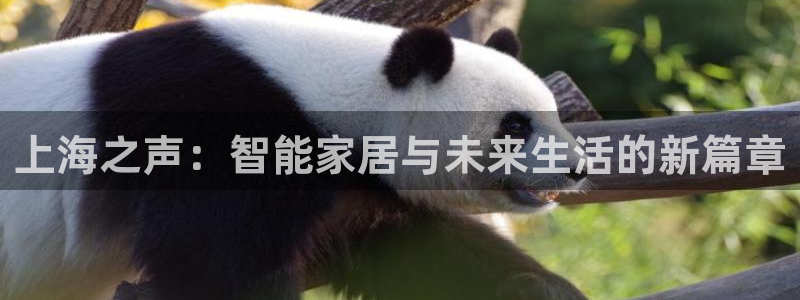 金年会官方登录入口：