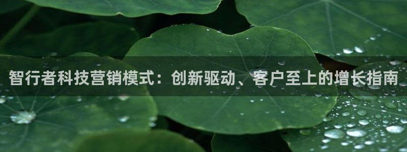 金年会官方网站入口登录