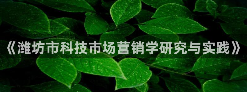 金年会官方网址