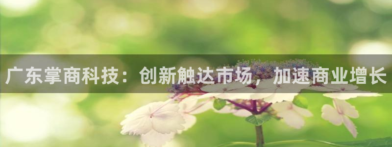 金年会体育官方平台下载