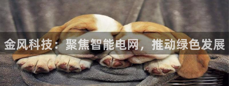 金年会官网登入
